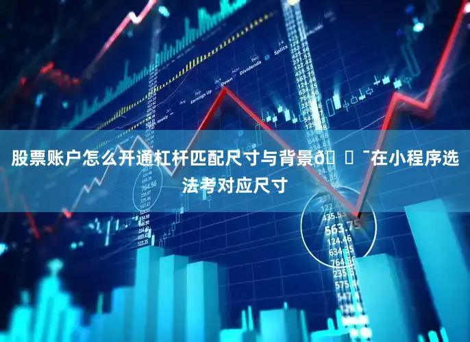 股票账户怎么开通杠杆匹配尺寸与背景🎯在小程序选法考对应尺寸