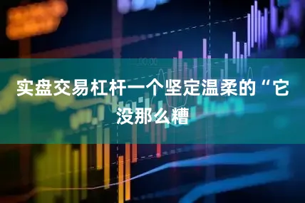 实盘交易杠杆一个坚定温柔的“它没那么糟